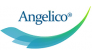 Фонд Angelico Ventures