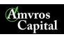 Amvros Capital (ООО Три)