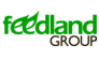 Фидлэнд Групп