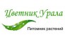 Цветник Урала