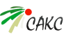 САКС Игрушки