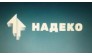 ООО НАДЕКО