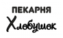 ИП Каменских Э.А.
