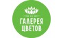 Галерея цветов