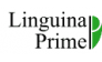 Лингвина Прайм