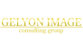 Consulting Group GELYON IMAGE