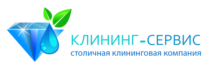 Клининговая компания клиенты. Логотипы клининговых компаний. Клининговая компания логотип. Профессиональная уборка логотипы. Эмблема клининговой компании.